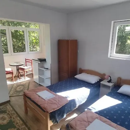 Apartment Dusica Gornja Trepca