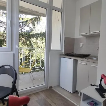 Apartment Dusica Gornja Trepca
