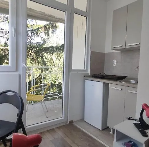 Apartament Dusica Gornja Trepča